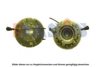 VOLVO 20450240 Clutch, radiator fan